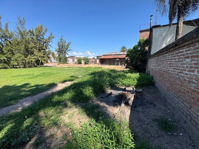 place photo 26
