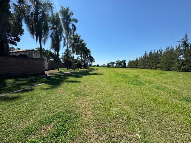 place photo 29