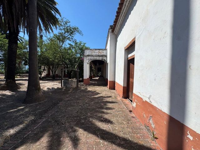place photo 42