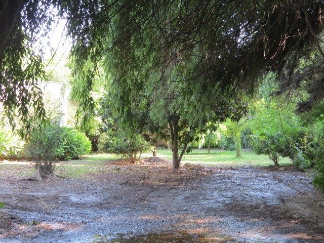 place photo 60