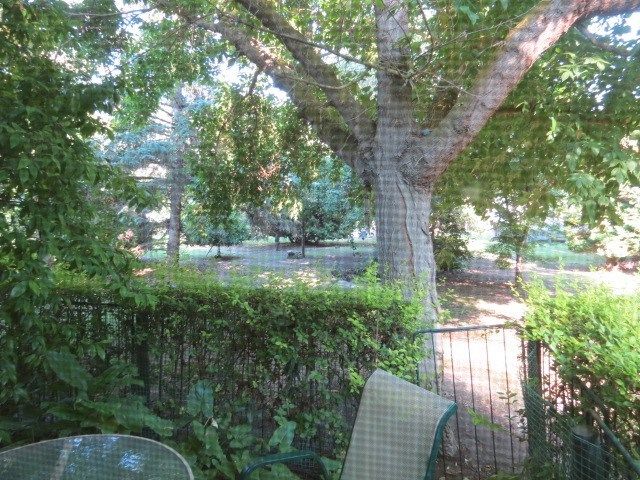 place photo 42