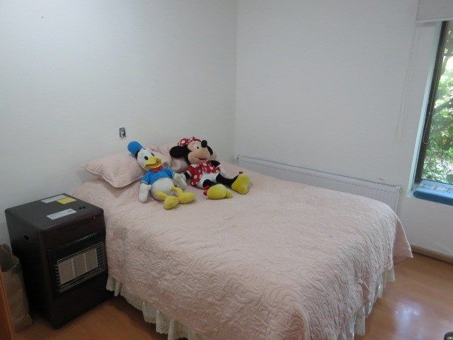 place photo 37
