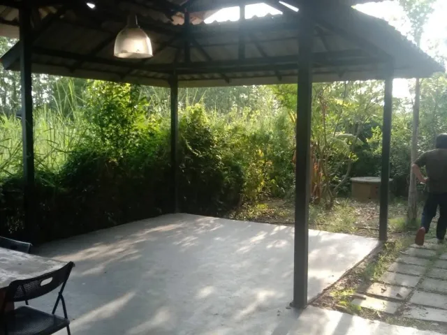 place photo 11