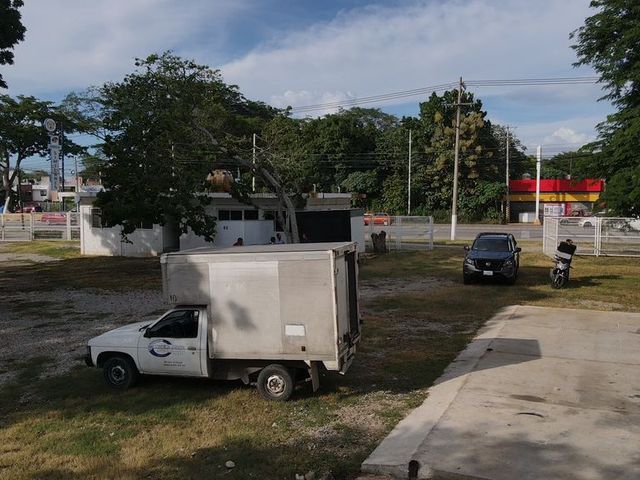 place photo 18