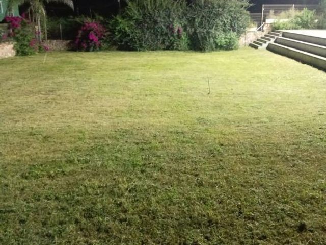 place photo 41