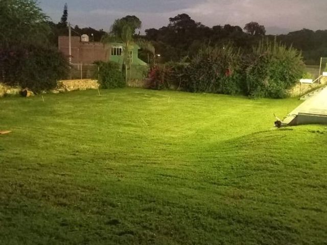 place photo 42
