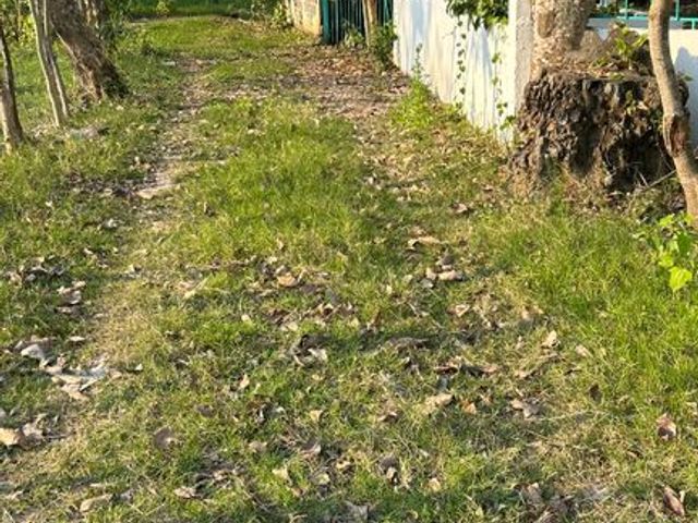 place photo 9