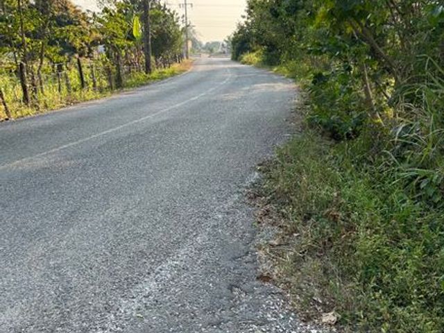 place photo 12