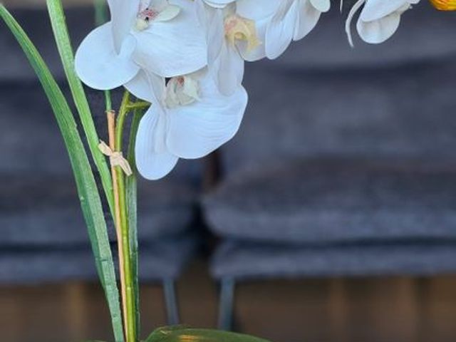 place photo 72