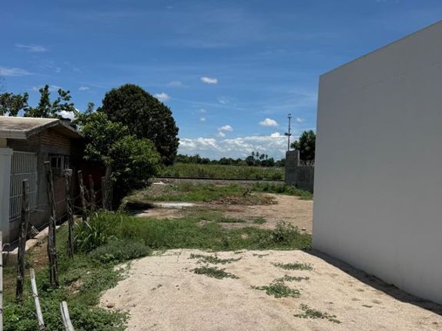 place photo 30