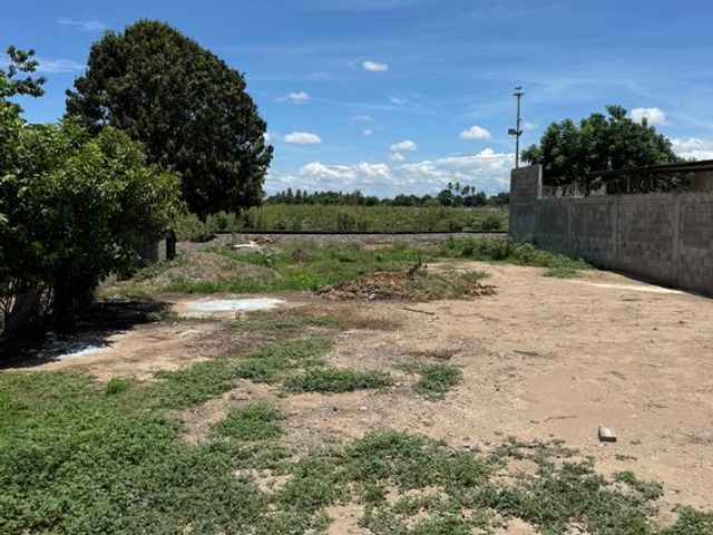 place photo 29
