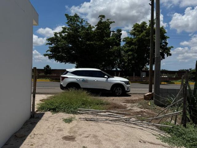 place photo 31