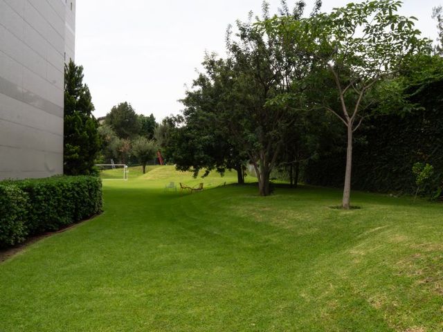 place photo 44