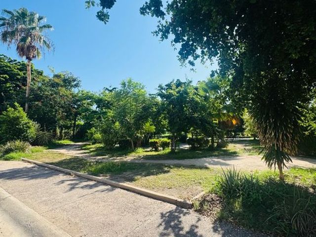 place photo 34