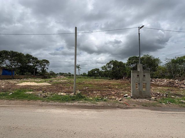 place photo 10