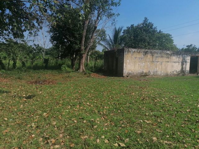 place photo 6