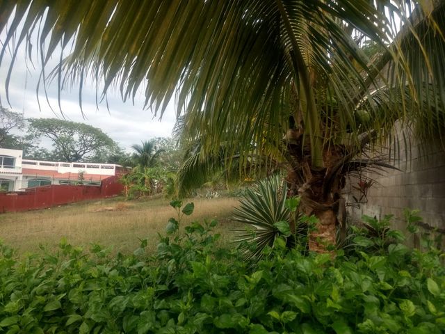 place photo 9
