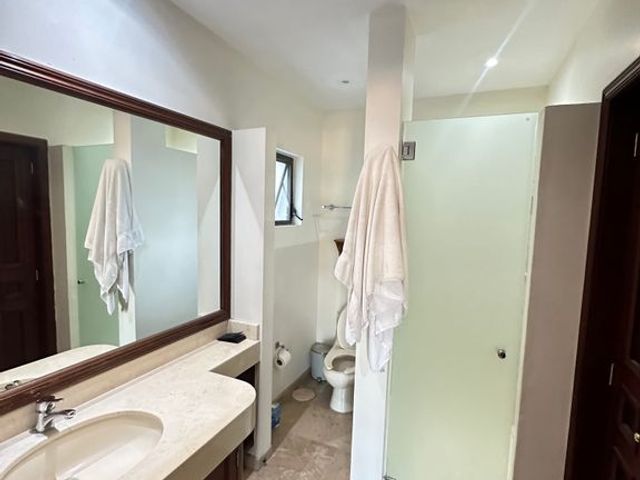 place photo 33
