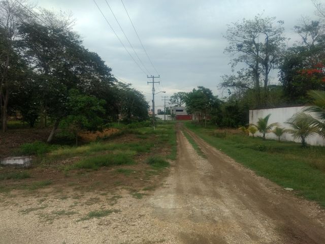 place photo 6