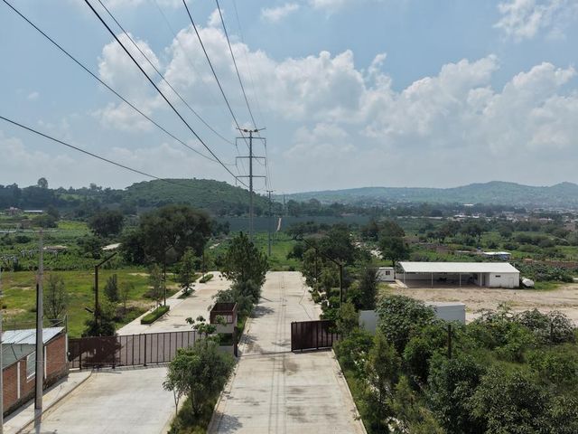 place photo 26