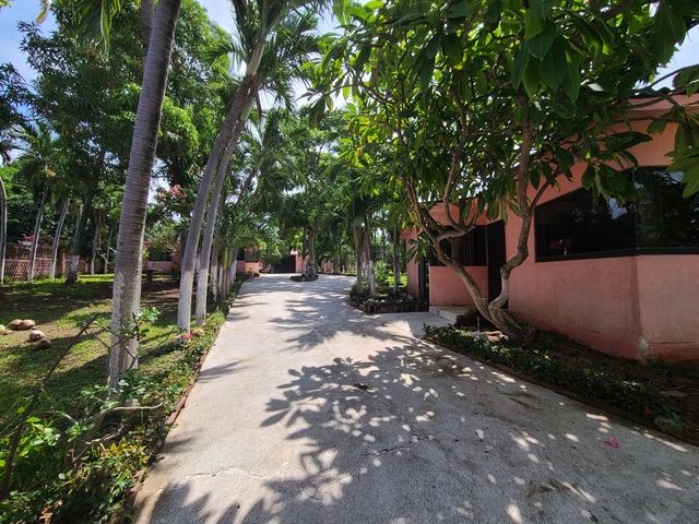 place photo 21