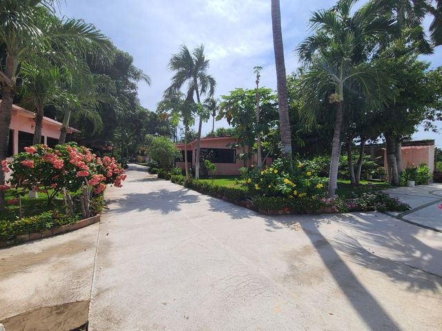 place photo 12