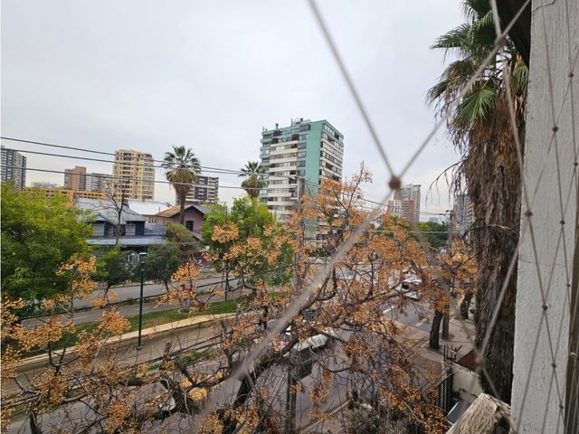 place photo 28