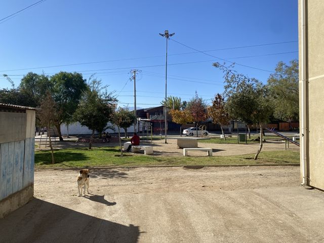 place photo 10