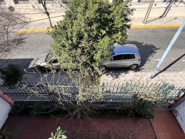 place photo 43