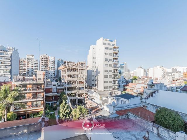 place photo 14