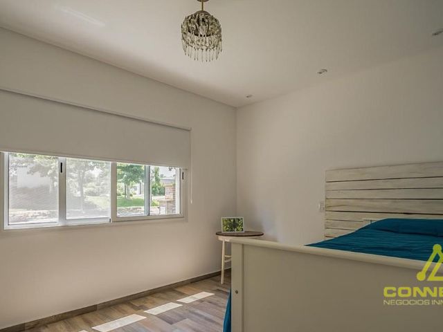 place photo 49