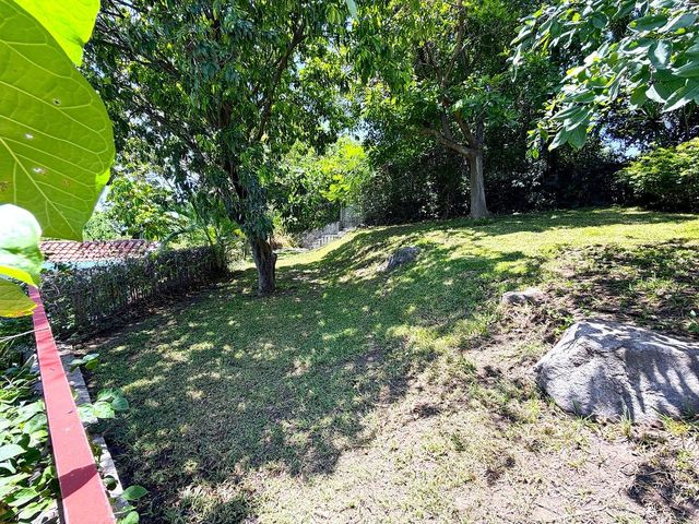 place photo 47