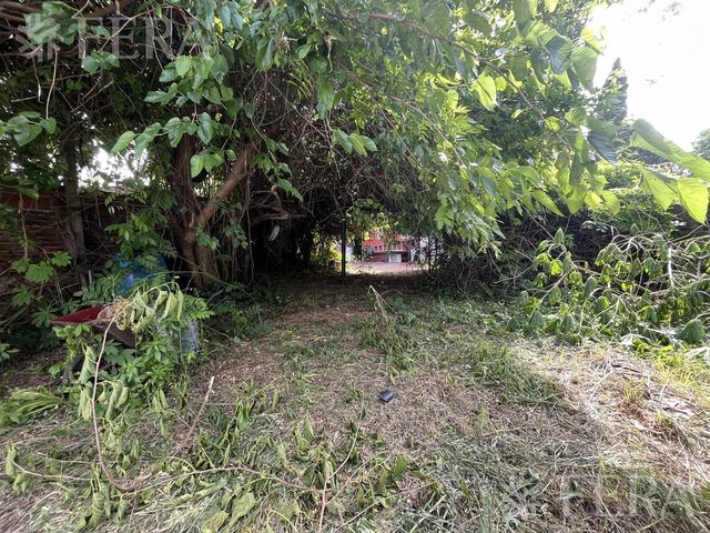 place photo 21