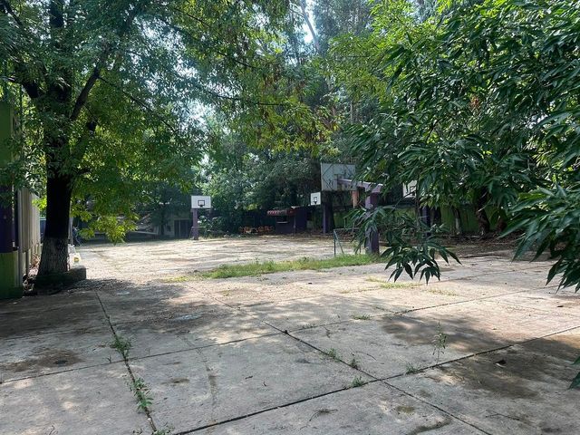 place photo 23