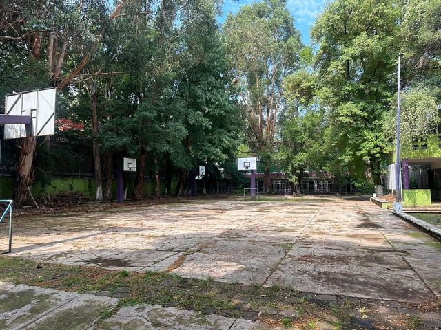 place photo 27