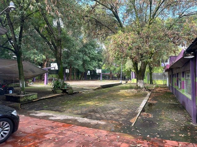 place photo 33
