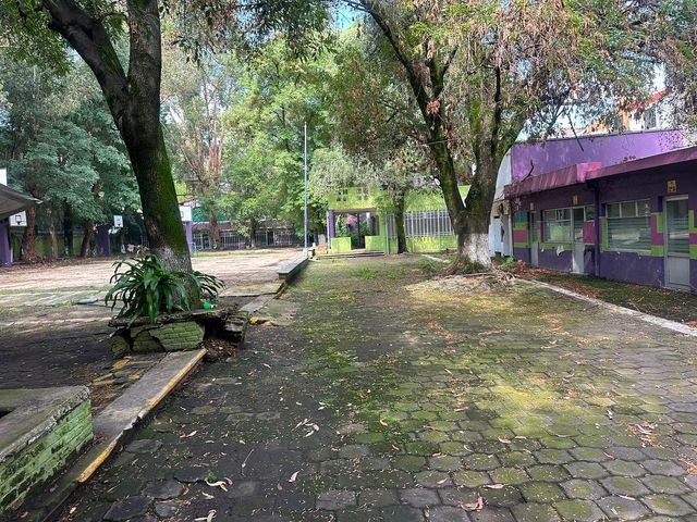 place photo 32