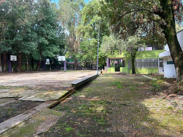 place photo 31