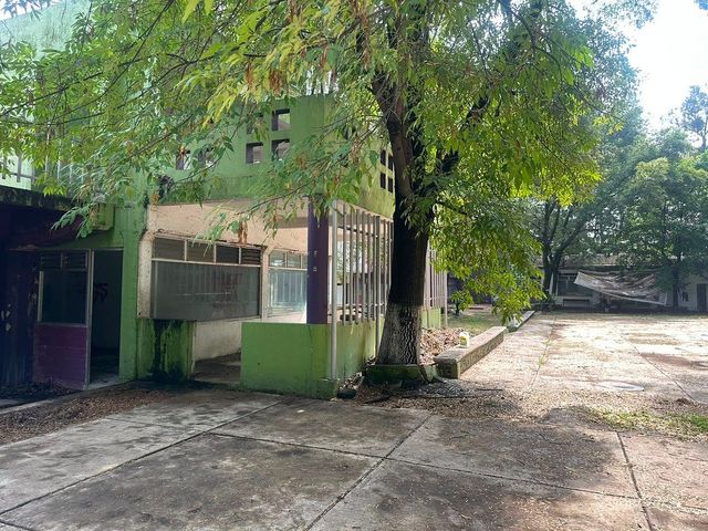 place photo 16