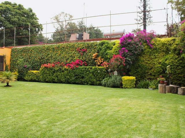 place photo 32