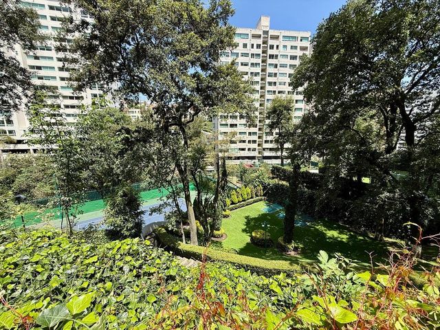 place photo 36