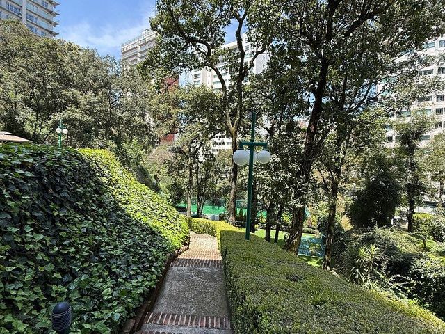 place photo 38