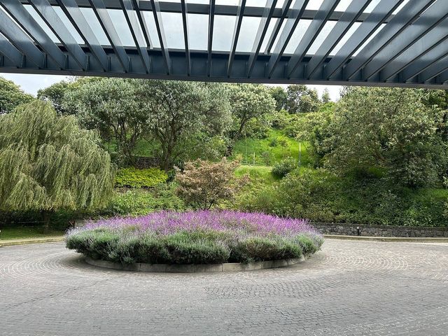 place photo 36