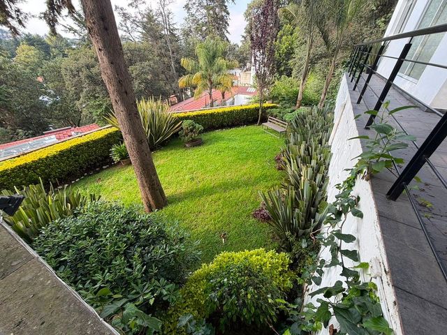 place photo 38