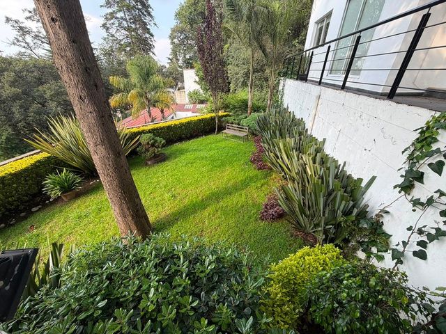 place photo 37