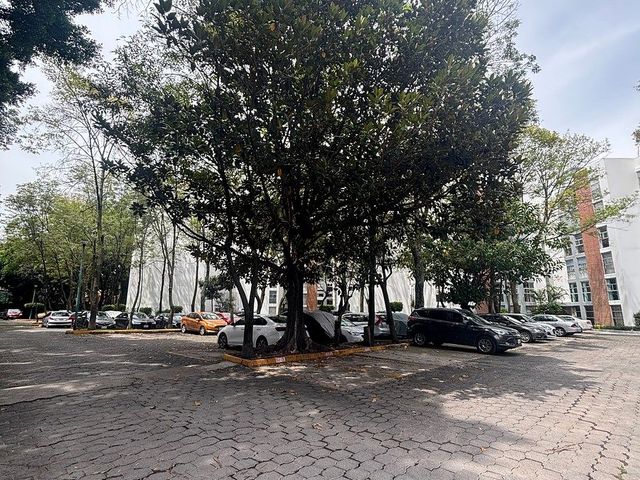 place photo 35
