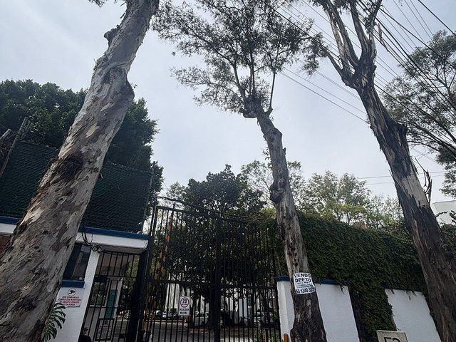 place photo 36