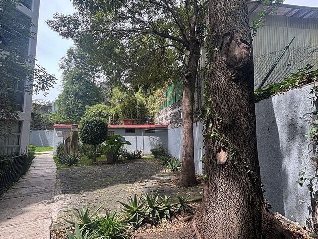 place photo 31