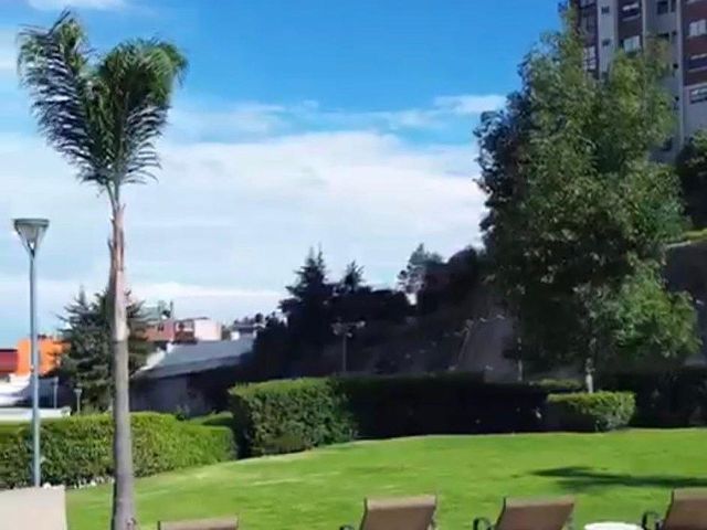 place photo 38