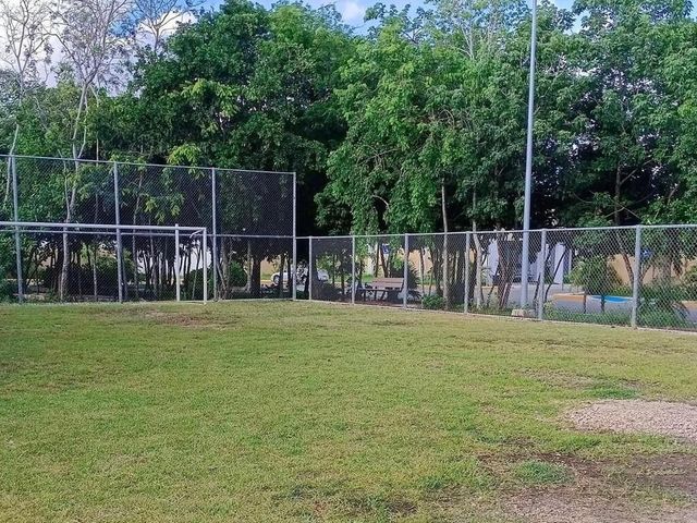 place photo 17